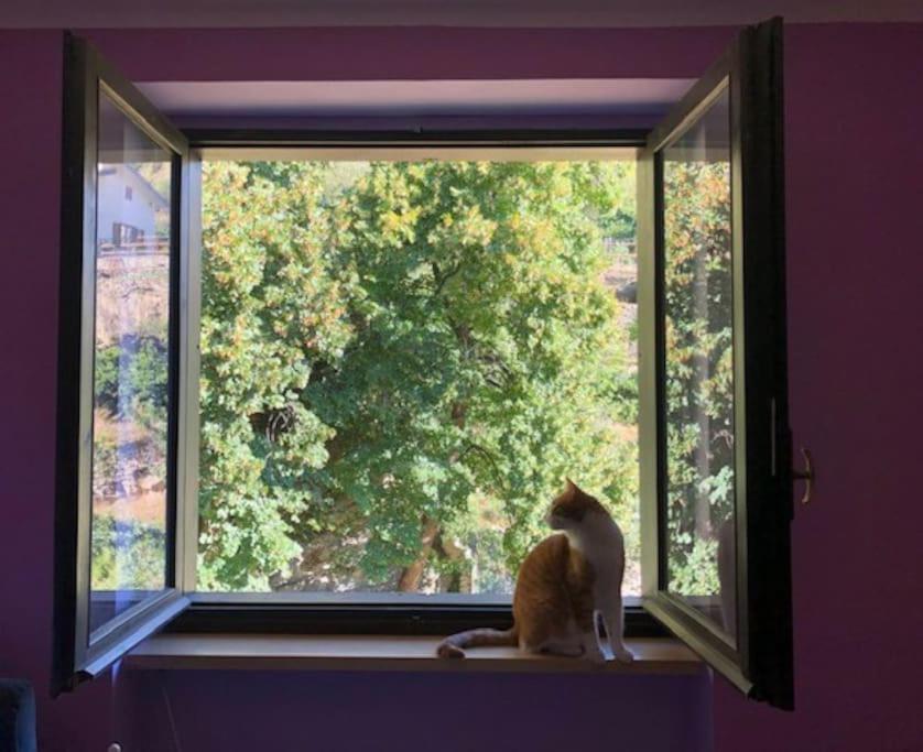 Casa Con Vista A Gravere Eksteriør billede